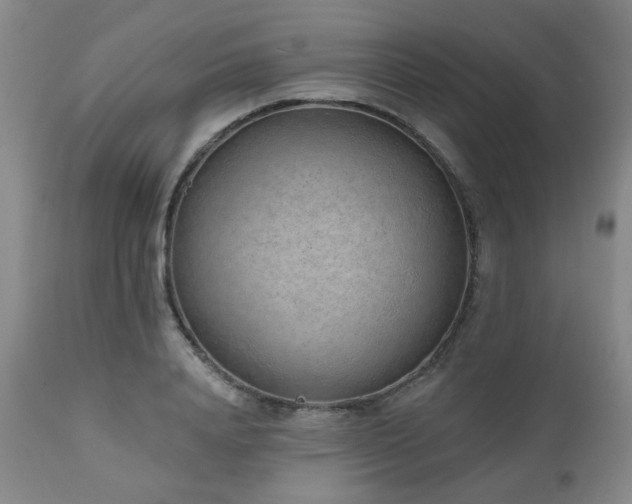 X0000110960840200906191310
