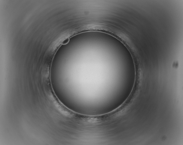 X0000110960841200906191310
