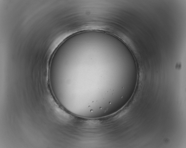X0000110960844200906191310