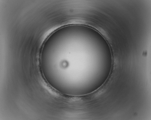 X0000110960846200906191310