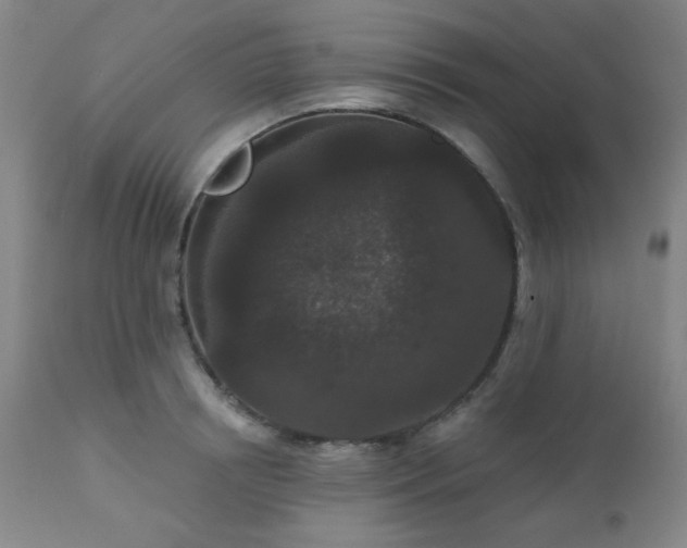 X0000110960850200906191310
