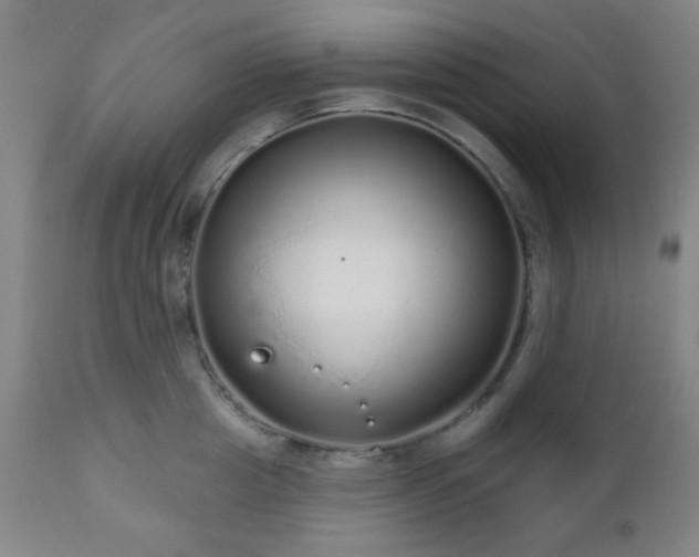 X0000110960857200906191310