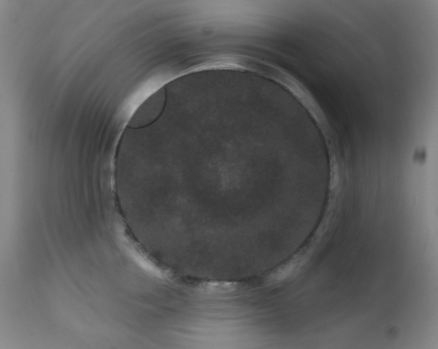 X0000110960858200906191310