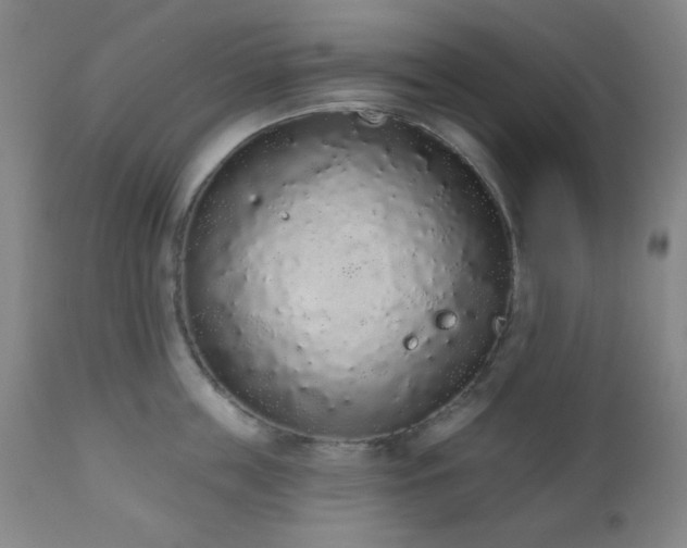 X0000110960859200906191310
