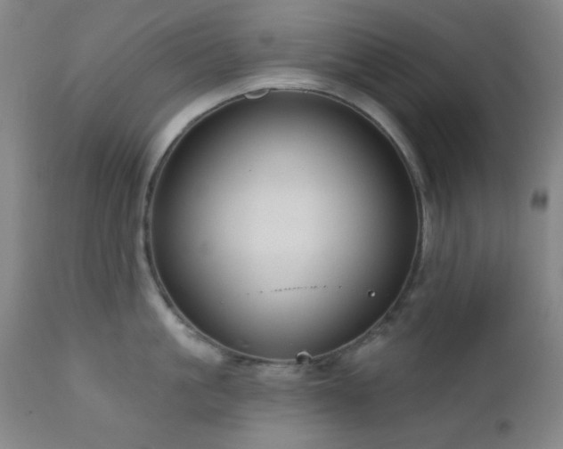 X0000110960861200906191310