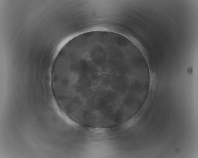 X0000110960862200906191310