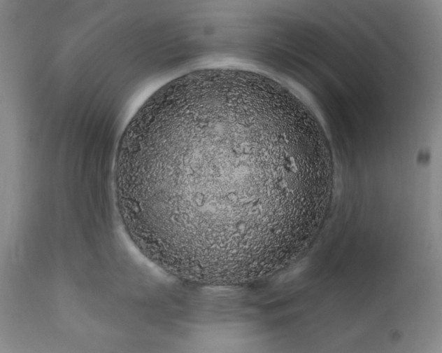 X0000110960863200906191310