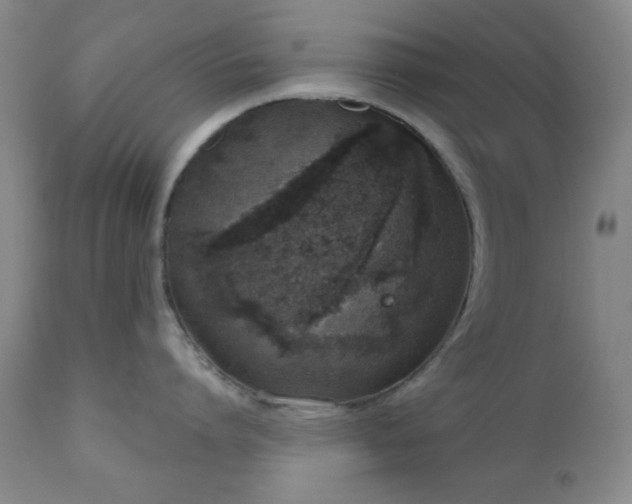 X0000110960864200906191310