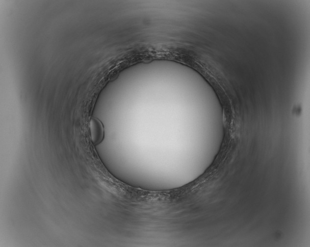 X0000110960865200906191310
