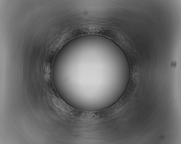 X0000110960866200906191310