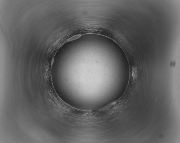X0000110960867200906191310