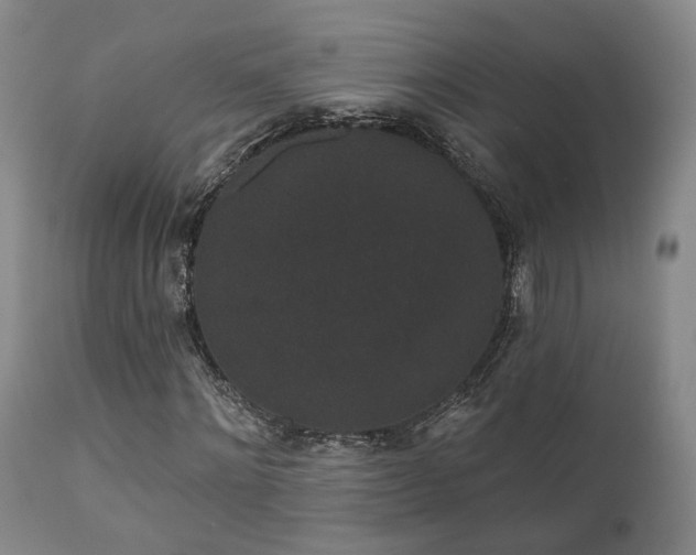 X0000110960868200906191310