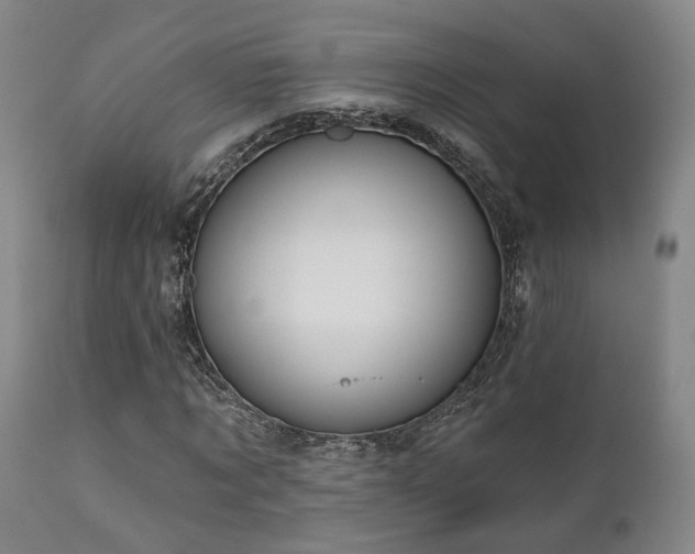 X0000110960869200906191310