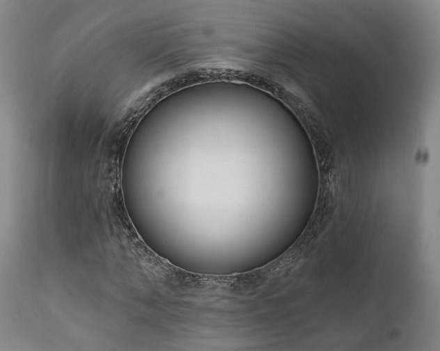 X0000110960870200906191310