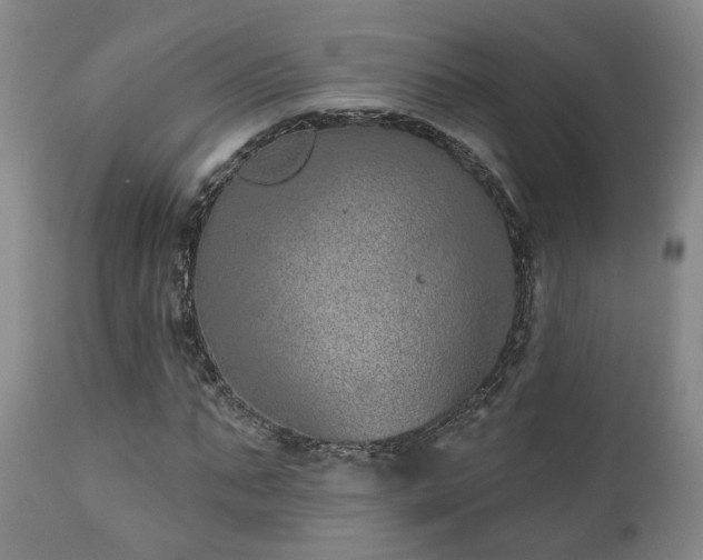 X0000110960871200906191310