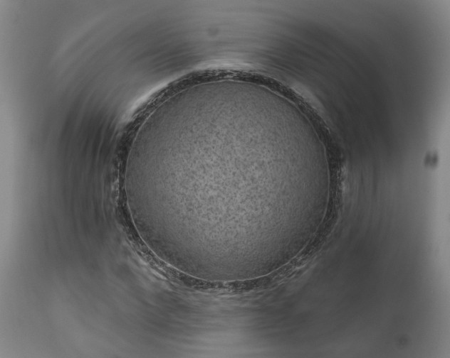 X0000110960872200906191310