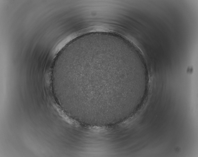 X0000110960874200906191310