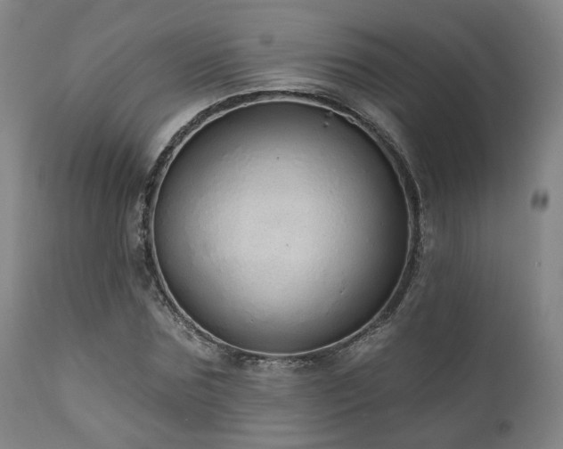 X0000110960875200906191310