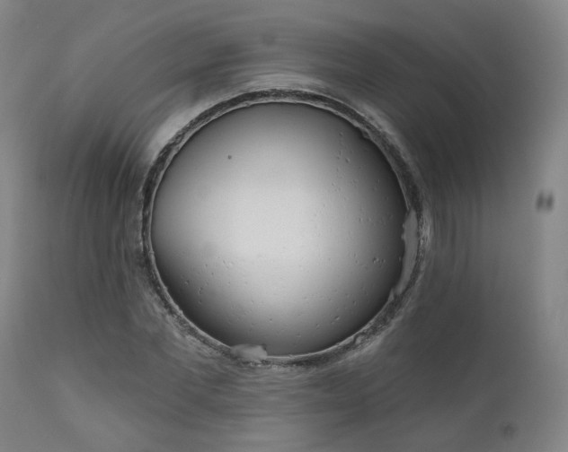 X0000110960877200906191310
