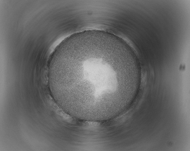X0000110960878200906191310