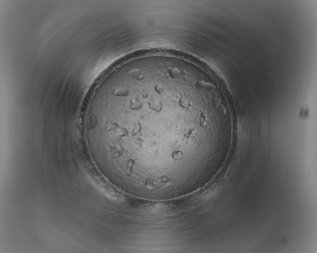 X0000110960879200906191310