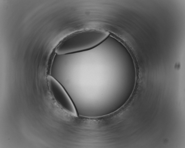 X0000110960880200906191310