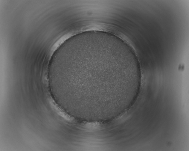 X0000110960882200906191310