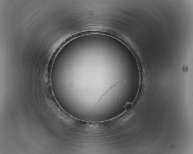 X0000110960883200906191310