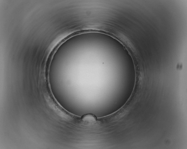 X0000110960884200906191309
