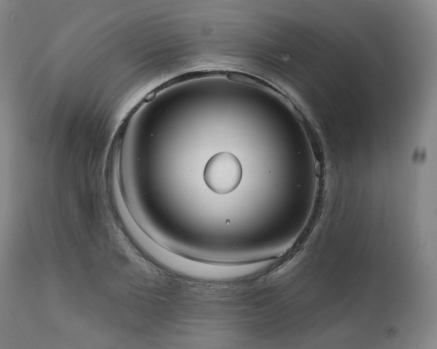X0000110960885200906191309