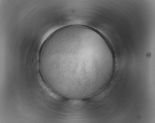 X0000110960886200906191309