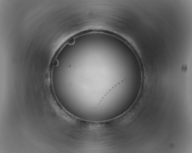 X0000110960887200906191309