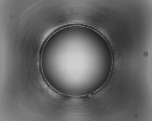 X0000110960888200906191309
