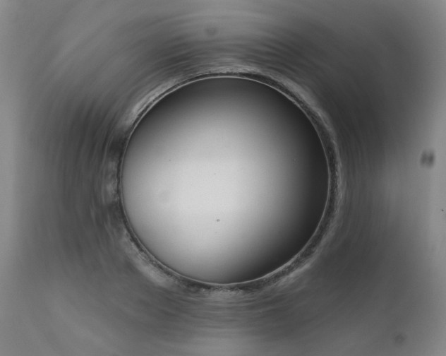 X0000110960889200906191309