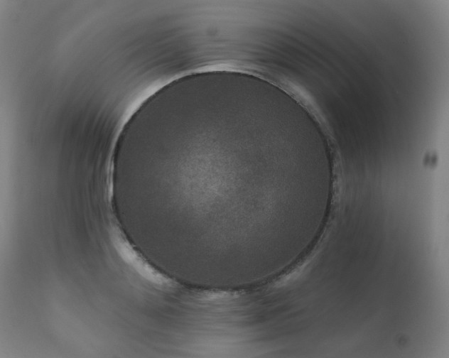 X0000110960892200906191309