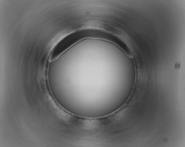 X0000110960893200906191309