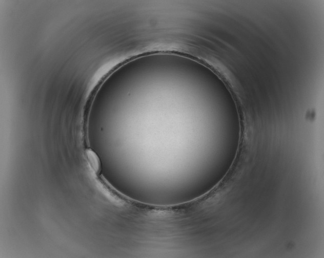 X0000110960894200906191309