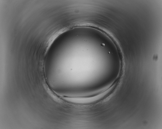 X0000110960897200906191309