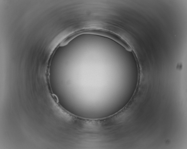 X0000110960901200906191309
