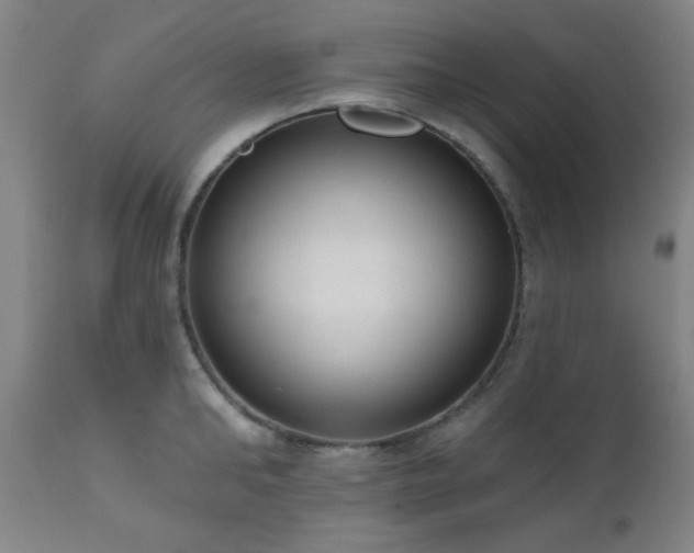 X0000110960902200906191309