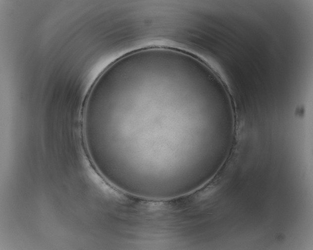 X0000110960903200906191309