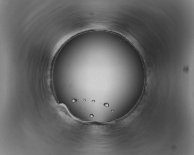 X0000110960904200906191309
