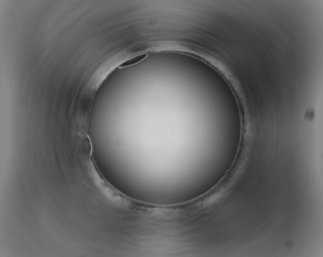 X0000110960905200906191309