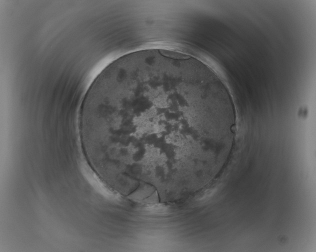 X0000110960907200906191309