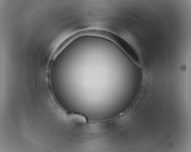 X0000110960908200906191309