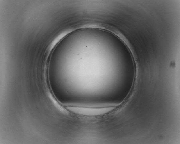 X0000110960909200906191309