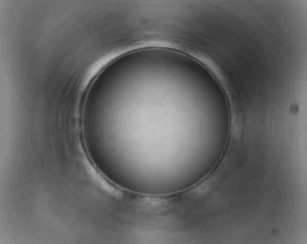 X0000110960910200906191309