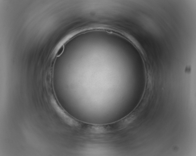 X0000110960911200906191309
