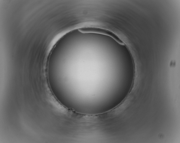 X0000110960912200906191309