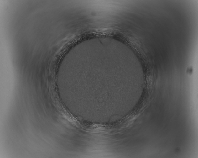 X0000110960913200906191308